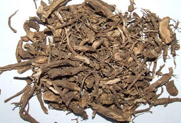 Coleus Forskohlii Extract