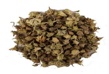 Tribulus Terrestris Extract